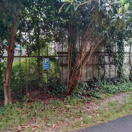 Pisolo Nuovo Vicino All'ospedale Sant'orsola Bologna